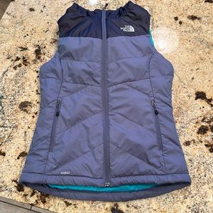The North Face 650 Puffer Vest